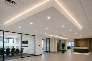 Our Products ceiling and bulkhead
